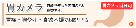胃カメラ（胃痛・胸やけ・食欲不振でお困りの方）